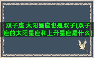 双子座 太阳星座也是双子(双子座的太阳星座和上升星座是什么)